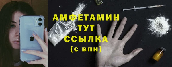тгк Бородино