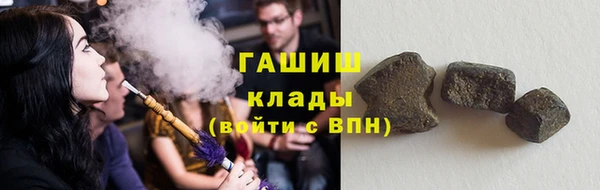 тгк Бородино