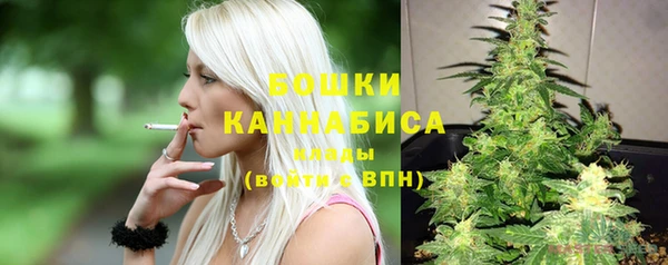 тгк Бородино