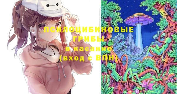 тгк Бородино